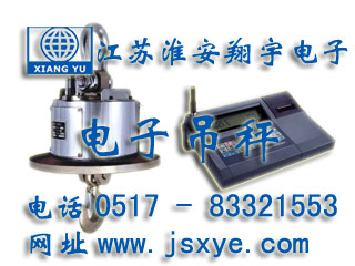 耐高溫電子吊秤,耐高溫吊秤,電子吊秤,電子吊秤廠家,耐高溫吊秤廠家