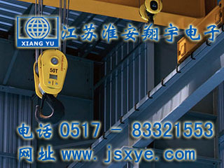 起重限制保護(hù)系統(tǒng)廠家江蘇淮安翔宇電子測控自動化起重機(jī)超載限制器 起重超載限制器保護(hù)系統(tǒng)安全可靠堅(jiān)固耐用 更多起重機(jī)起重限制器就在footweartaxi.com 電話0517-83321553