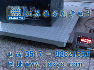 地磅_电子地磅_XYSCS