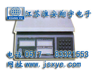 电子秤_电子称重_XYES